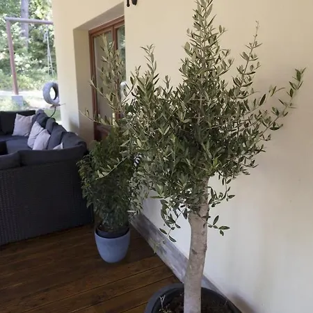 Vakantiehuis Emily Smižany